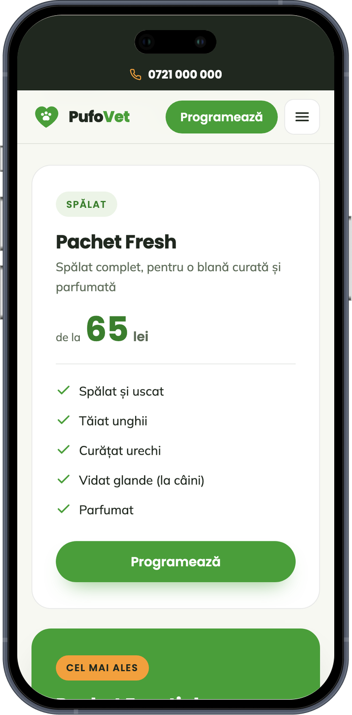 Pagina de prețuri de pe un site construit de Patro, cu pachete și prețuri clare