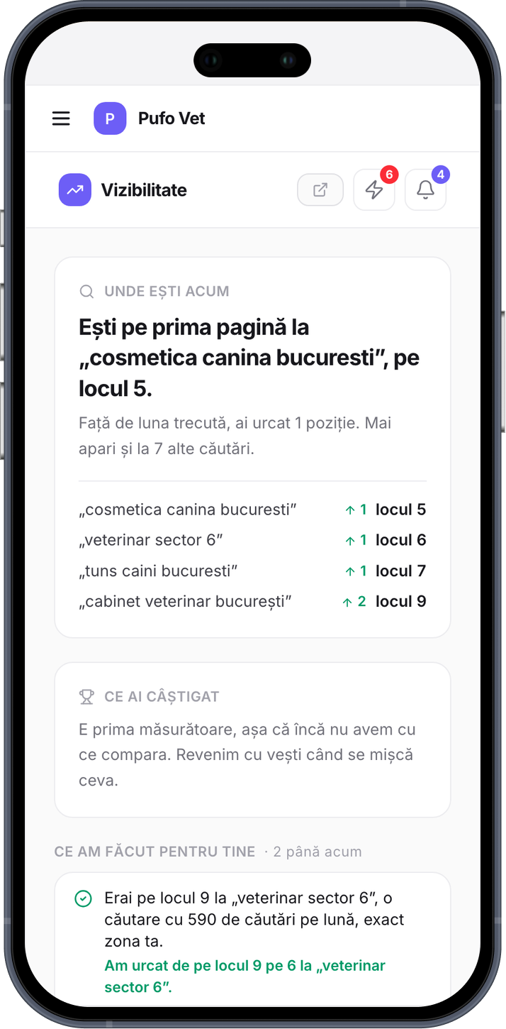 Portalul Patro: pe ce loc ești la fiecare căutare și ce am schimbat noi pe site luna asta