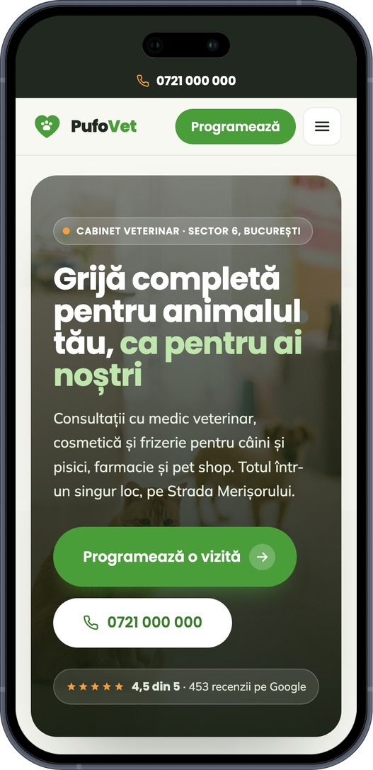 Site-ul construit de Patro, văzut pe telefon