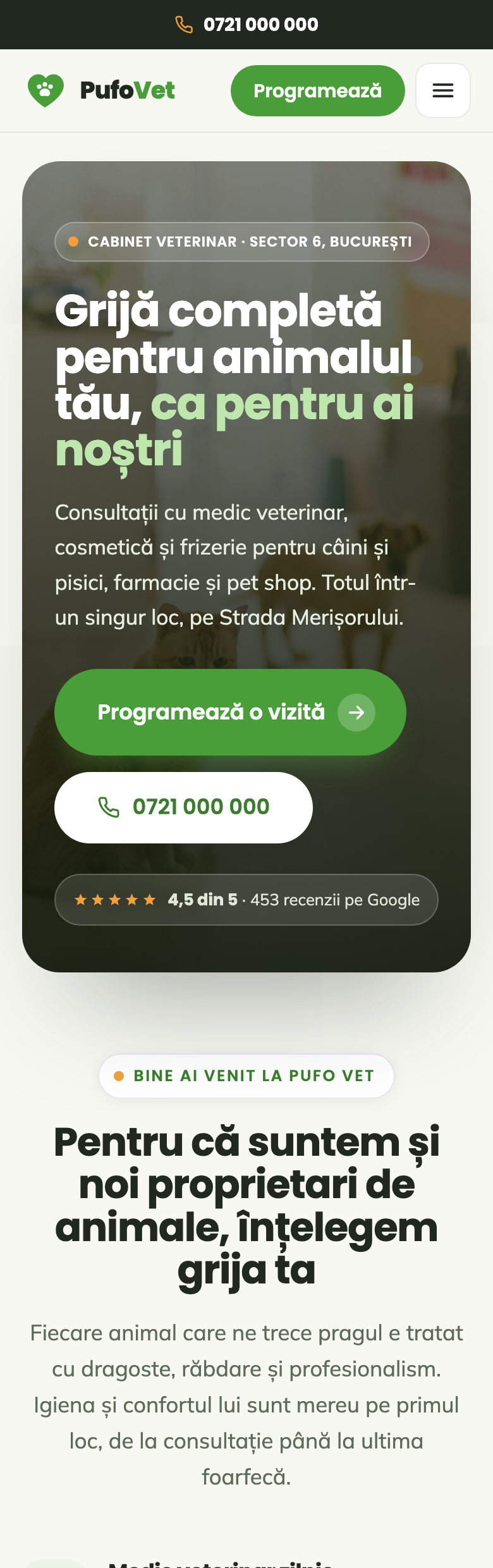 Site construit de Patro pentru un cabinet veterinar: titlu, servicii și buton de programare